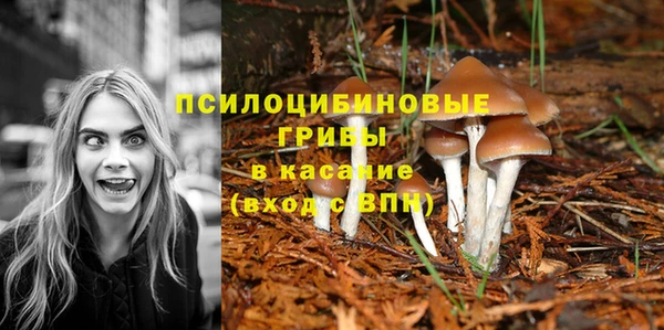 ешки Алексеевка